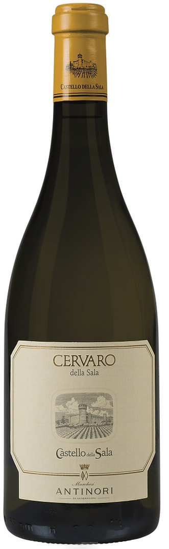 Cervaro della Sala 2024 - Antinori | Castello della Sala